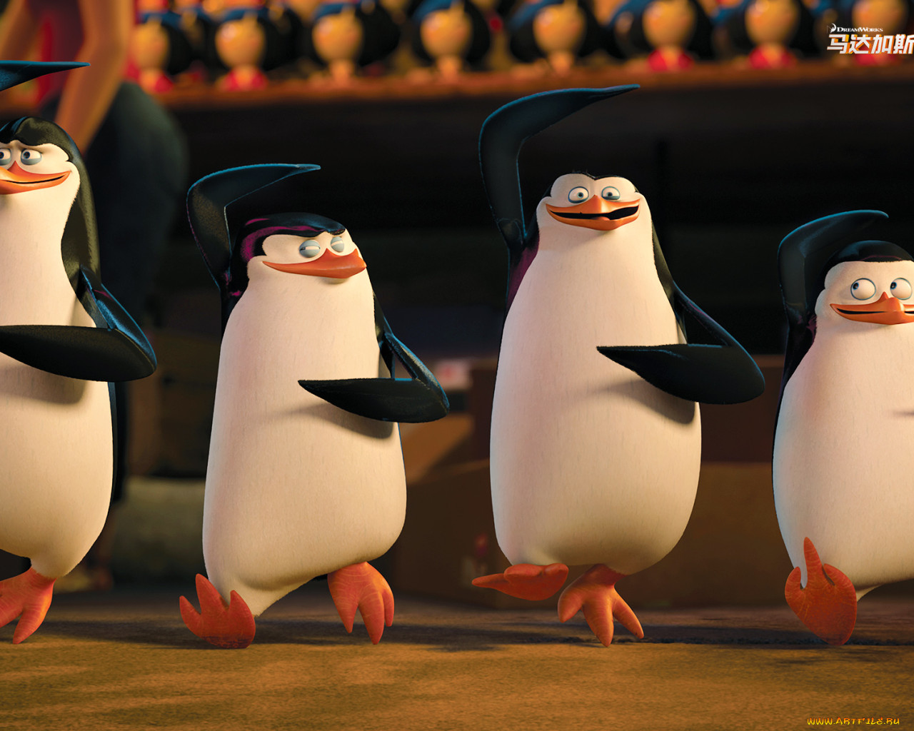 мультфильмы, the penguins of madagascar, пингвины, клюв, глаза.